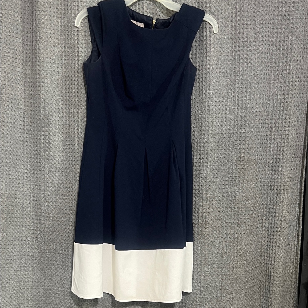 Chic Navy and White Midi Dress